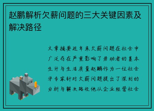 赵鹏解析欠薪问题的三大关键因素及解决路径